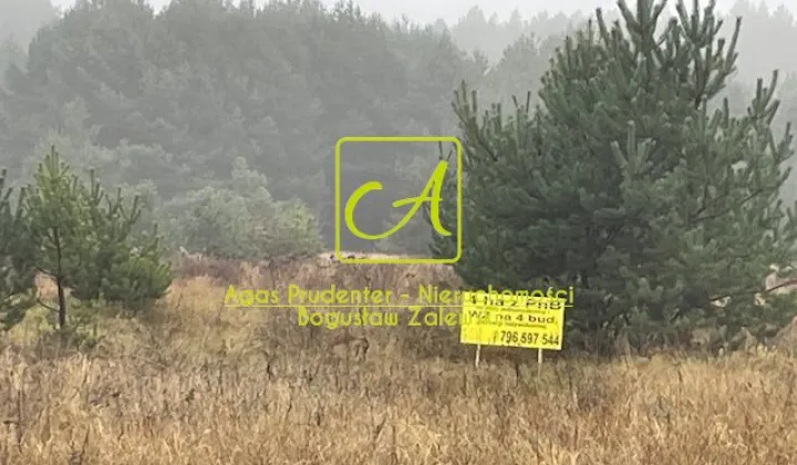 Działka budowlana Silna