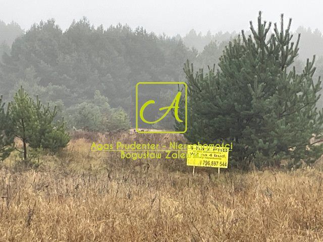 Działka budowlana Silna. Zdjęcie 1