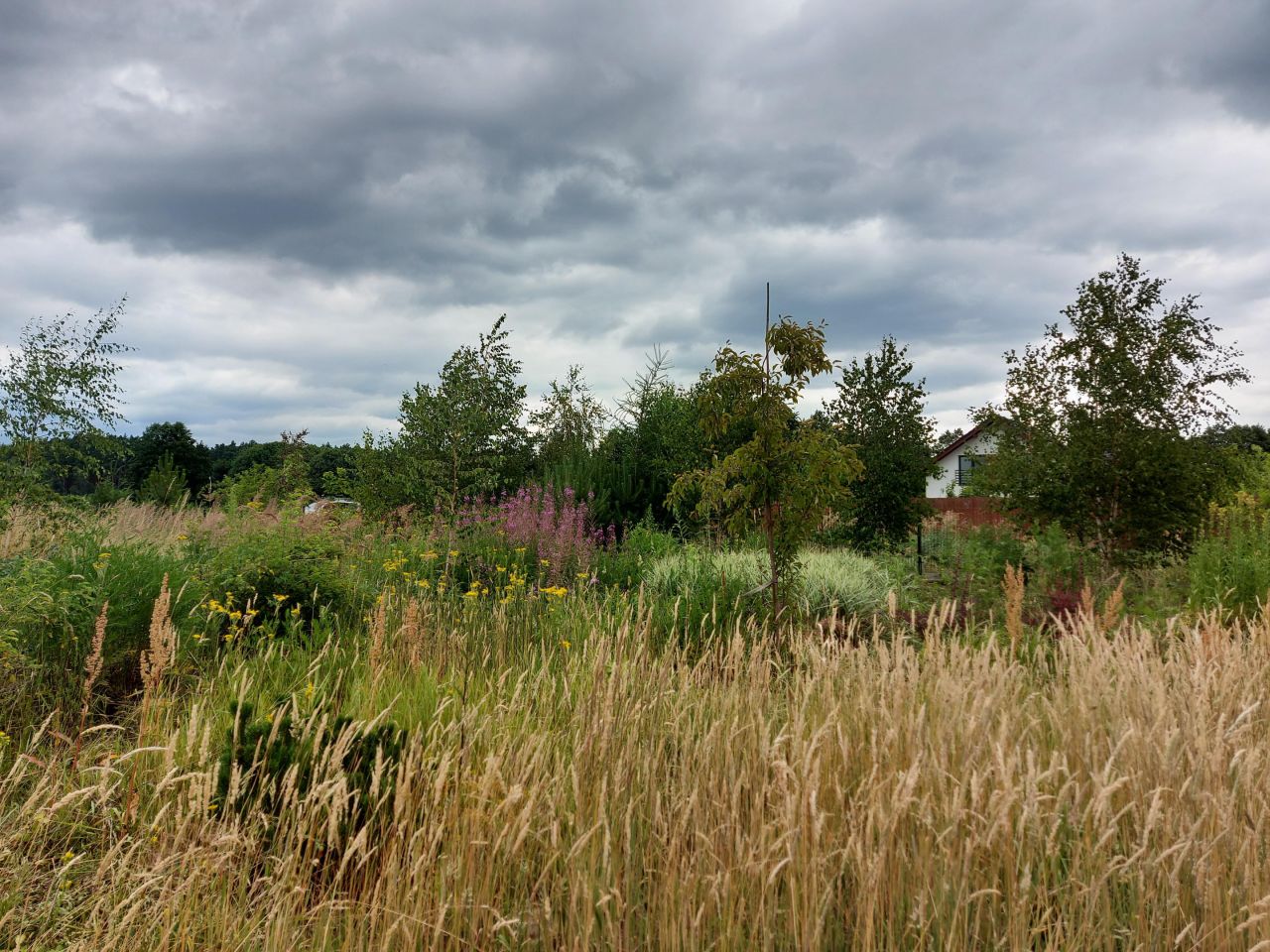 Działka budowlana Mosina, Bławatkowa. Zdjęcie 3