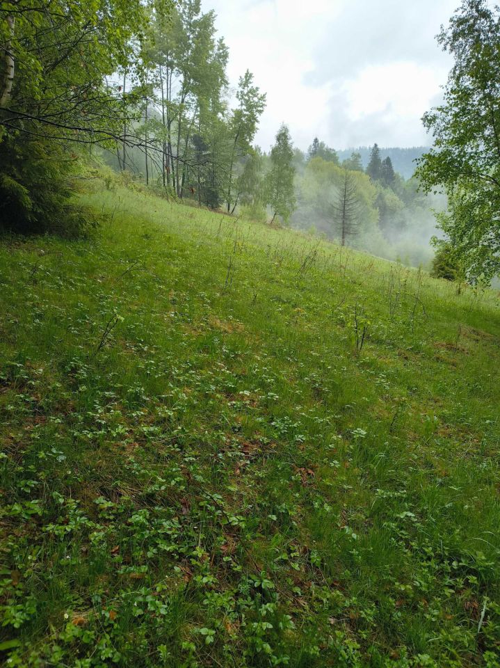 Działka budowlana Wisła. Zdjęcie 5