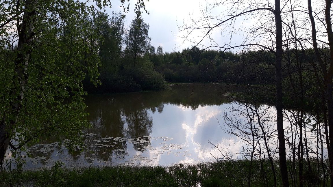 Działka inwestycyjna Liszkowo. Zdjęcie 8
