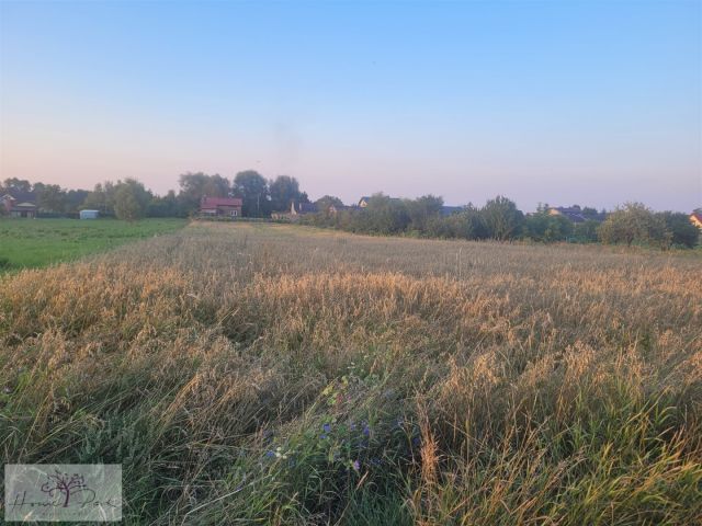 Działka rolna Bądków. Zdjęcie 2