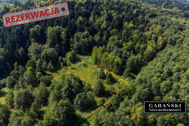 Działka budowlana Słona. Zdjęcie 12