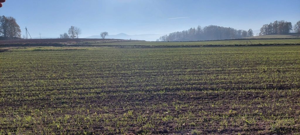 Działka budowlana Łomnica. Zdjęcie 3