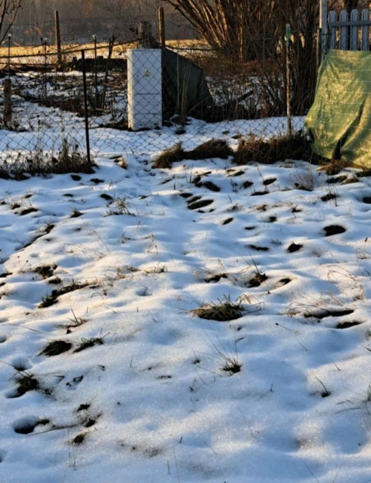 Działka rod Czeladź Piaski, ul. Borowa