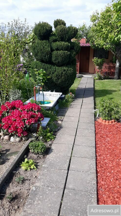 Działka rod Gorzów Wielkopolski, ul. Myśliborska. Zdjęcie 8