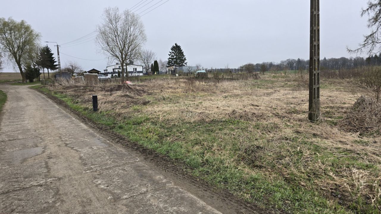 Działka rolna Cygusy. Zdjęcie 5