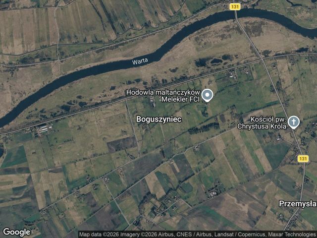 Działka rolna Boguszyniec. Zdjęcie 1