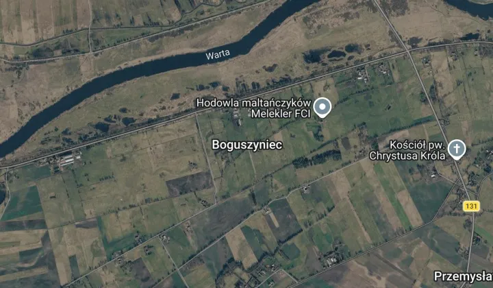 Działka rolna Boguszyniec