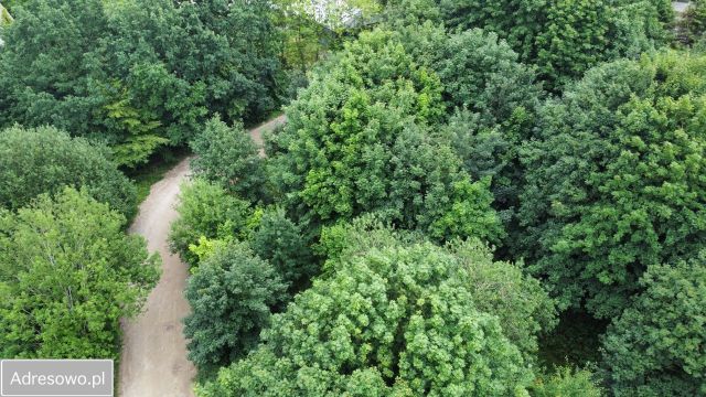 Działka budowlana Banino, ul. Lotnicza. Zdjęcie 1