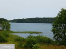Działka rolno-budowlana Łyśniewo Sierakowickie, ul. Osiedle Sosnowe. Zdjęcie 1