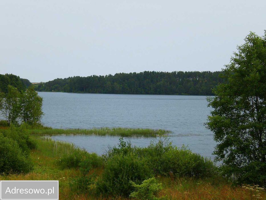 Działka rolno-budowlana Łyśniewo Sierakowickie, ul. Osiedle Sosnowe. Zdjęcie 2