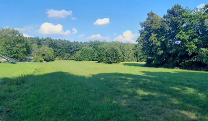 Działka budowlana Daniszyn