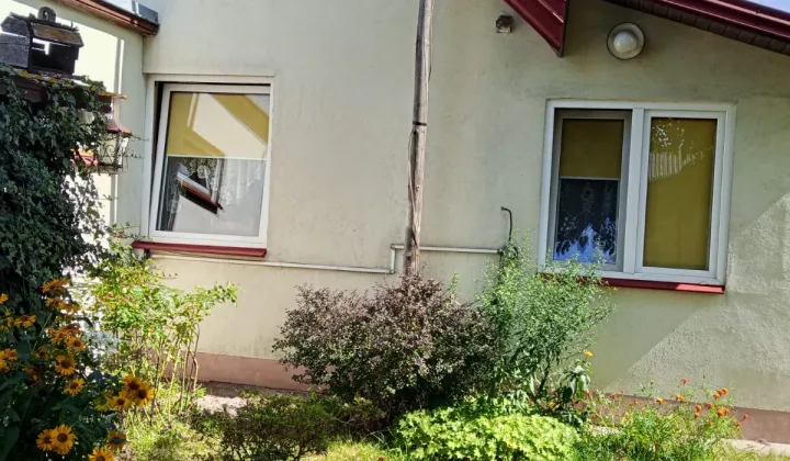 Działka siedliskowa Zieleniec