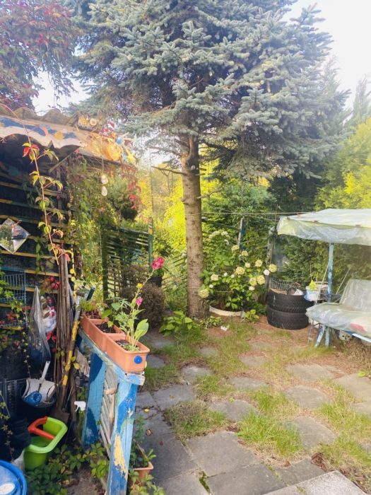 Działka rod Gdańsk Matarnia. Zdjęcie 7