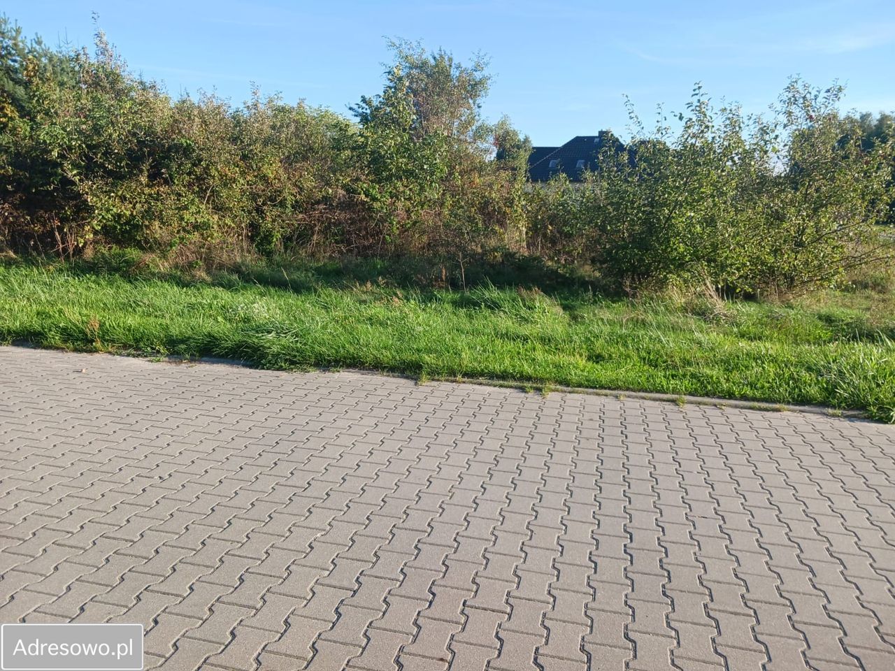 Działka budowlana Rogowo. Zdjęcie 4