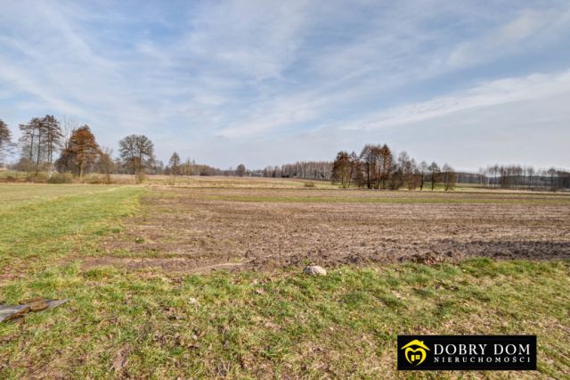 dom wolnostojący, 3 pokoje Nurzec-Stacja. Zdjęcie 13