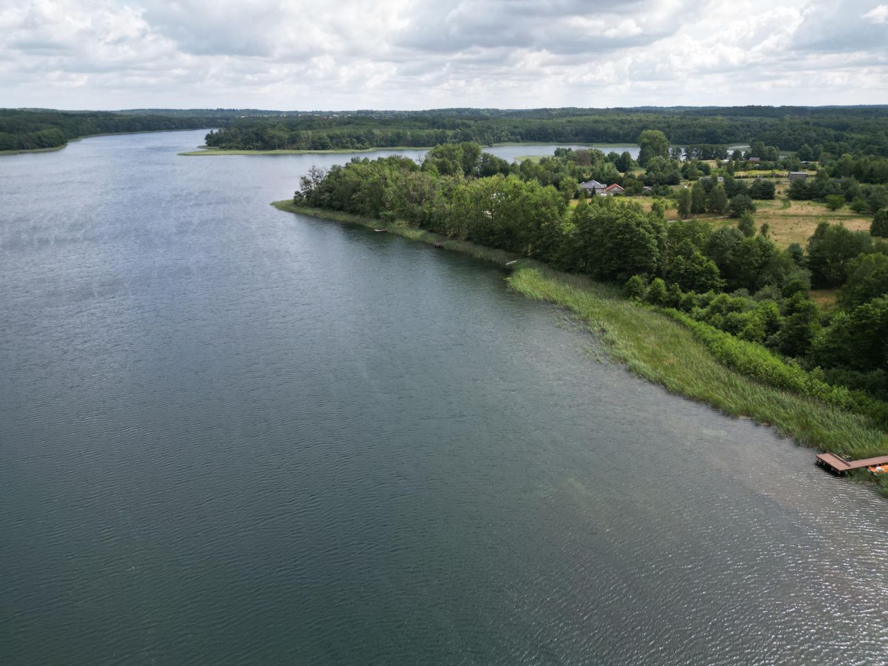 Działka rekreacyjna Jelenin. Zdjęcie 9