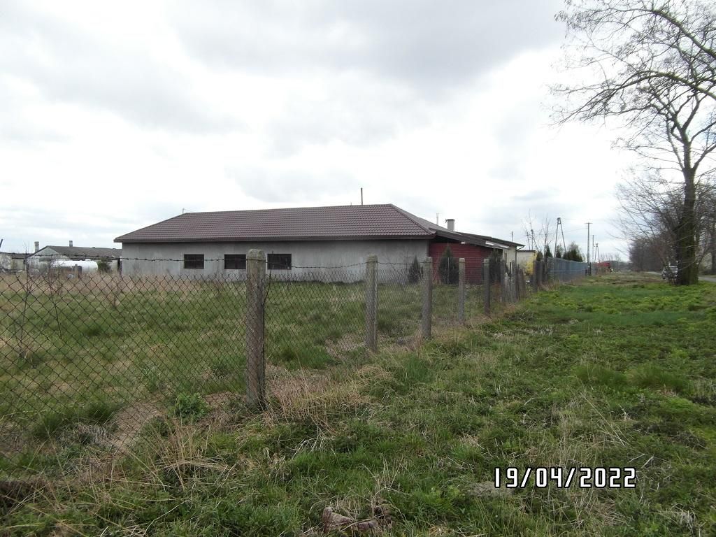 Działka rolno-budowlana Niedrzew Drugi. Zdjęcie 10