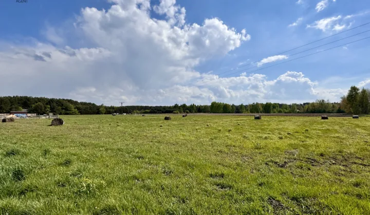 Działka budowlana Stary Adamów, ul. Działkowa