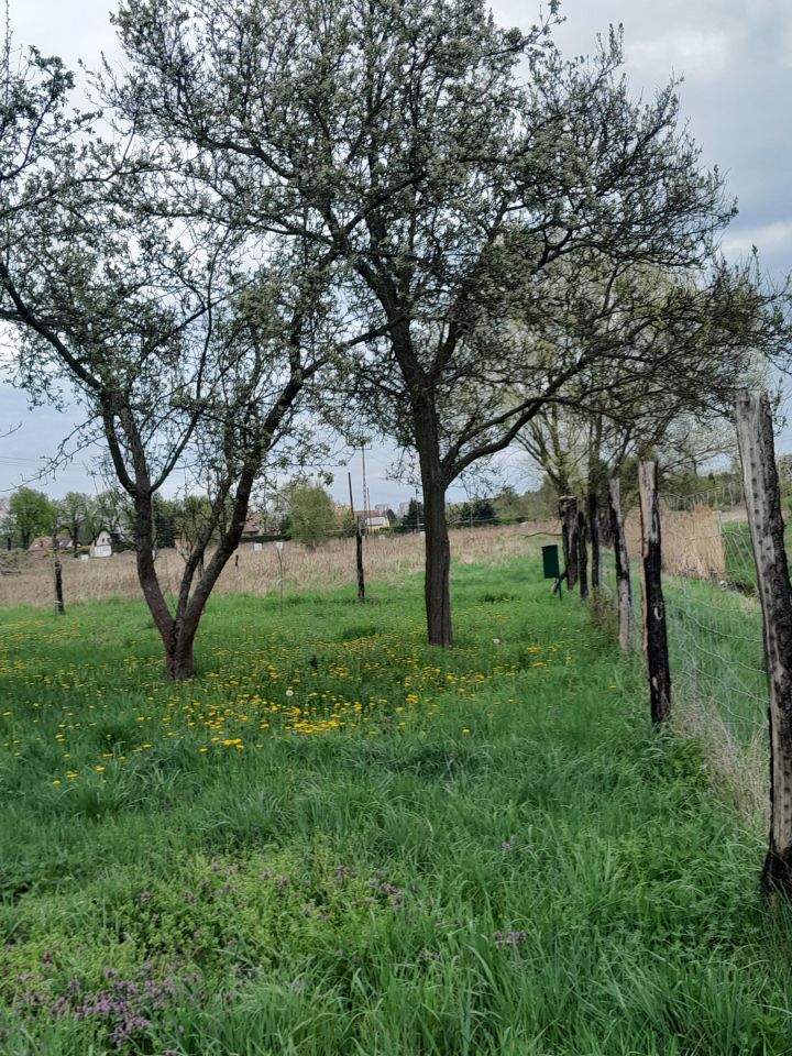 Działka budowlana Lubin Stary Lubin, ul. Przemysłowa. Zdjęcie 8
