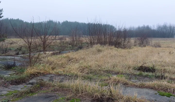 Działka inwestycyjna Gurba, ul. Główna