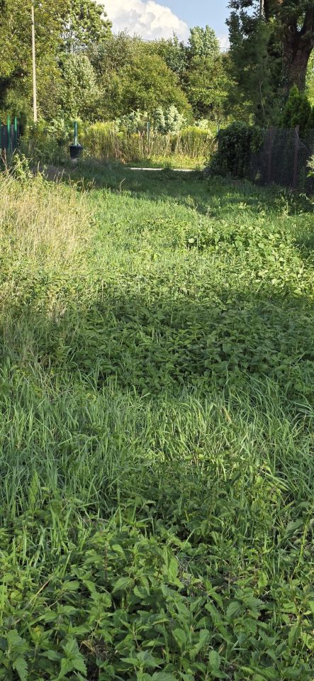 Działka budowlana Bramki Bramki Ukazowe, ul. Zaciszna. Zdjęcie 8