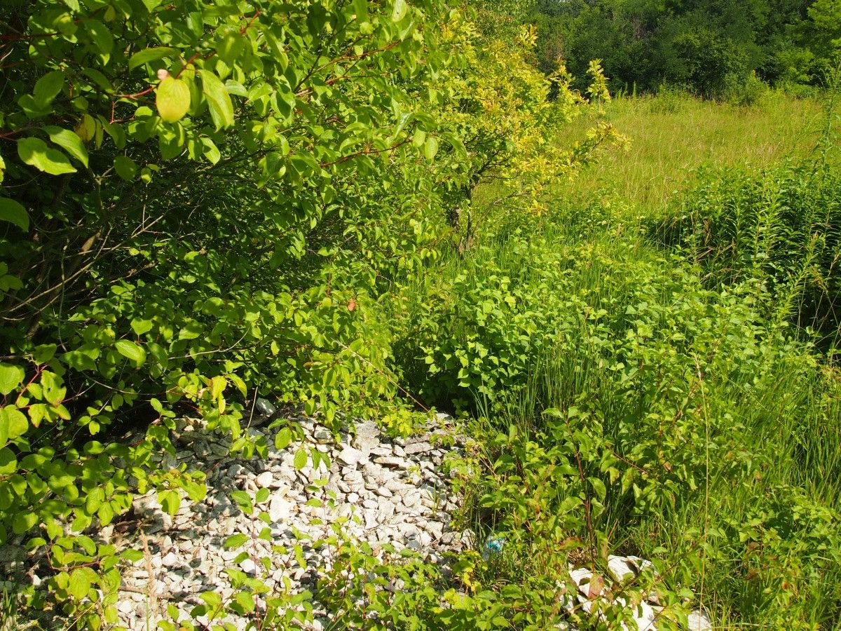 Działka rekreacyjna Śladów. Zdjęcie 8