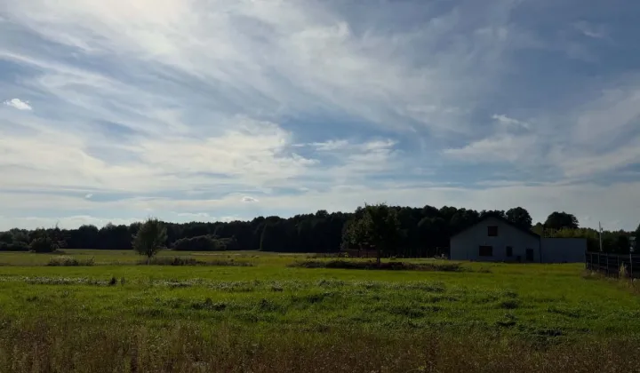 Działka budowlana Chechło Pierwsze