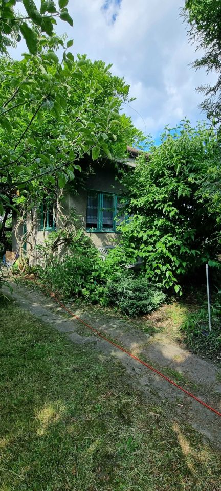 Działka rod Katowice os. Witosa