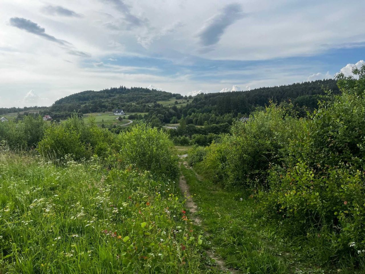 Działka rolna Harbutowice. Zdjęcie 5