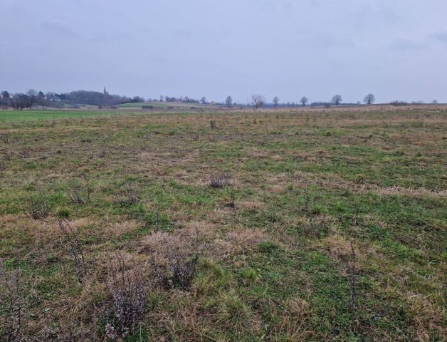 Działka rolno-budowlana Dobrzyca. Zdjęcie 1