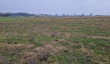 Działka rolno-budowlana Dobrzyca