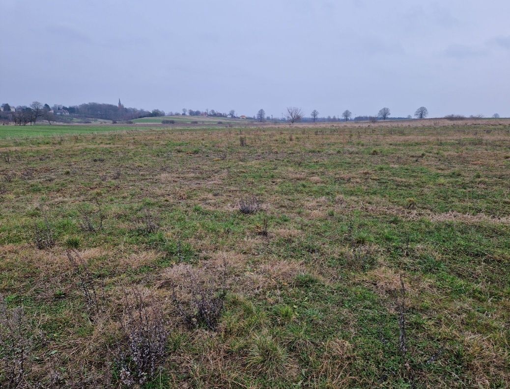 Działka rolno-budowlana Dobrzyca