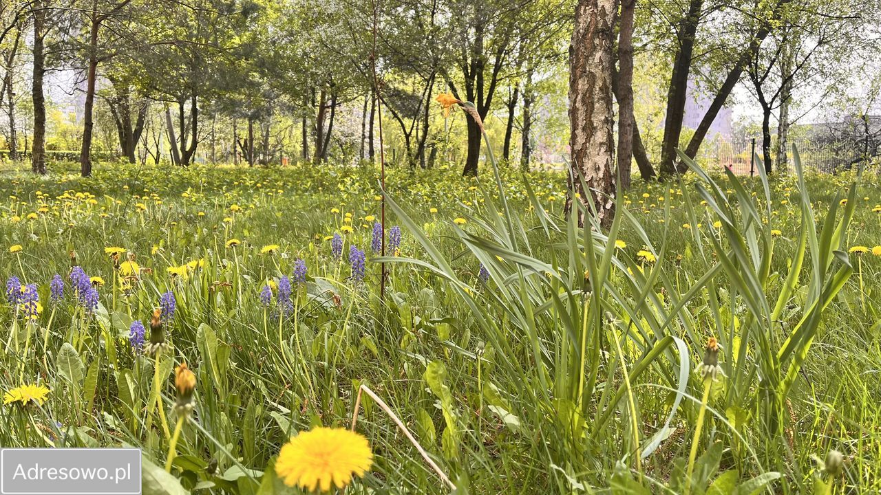 Mieszkanie 2-pokojowe Warszawa Gocław. Zdjęcie 2