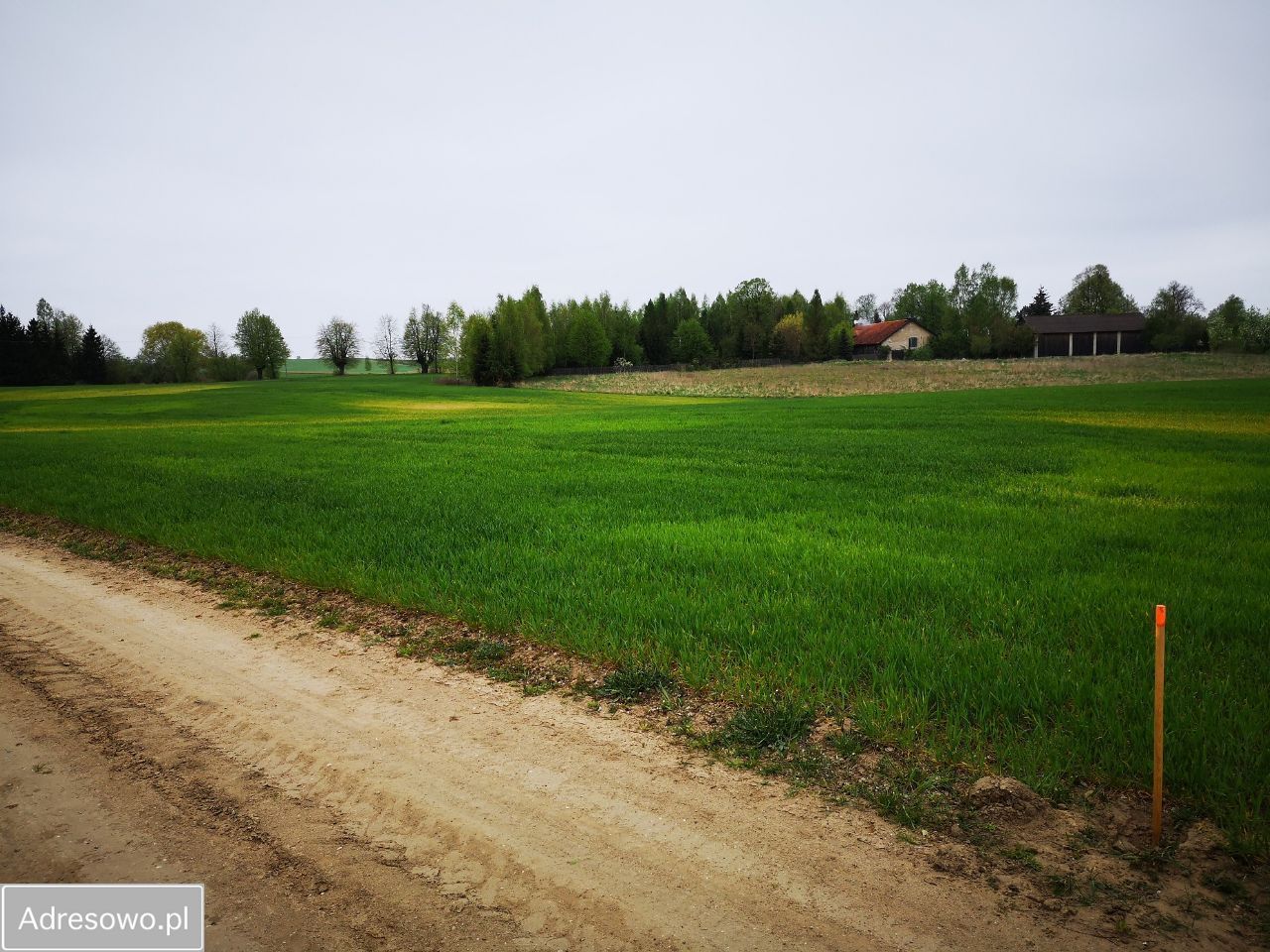 Działka rolna Tałty. Zdjęcie 6