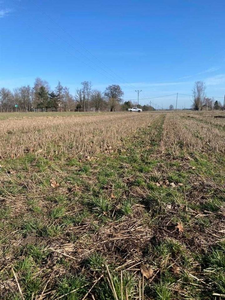 Działka budowlana Ludwinowo Zegrzyńskie. Zdjęcie 3