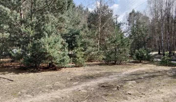 Działka na sprzedaż bez pośredników 
 
 Zaborów Stary - Widok 5