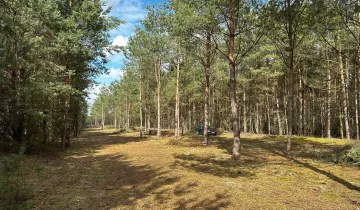 Działka na sprzedaż bez pośredników          
          
            Podsmardzewo - Więcej