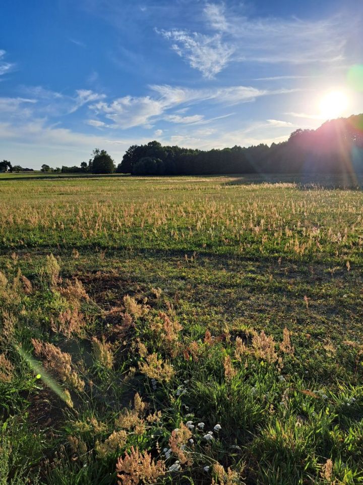 Działka budowlana Ptaszkowice. Zdjęcie 8