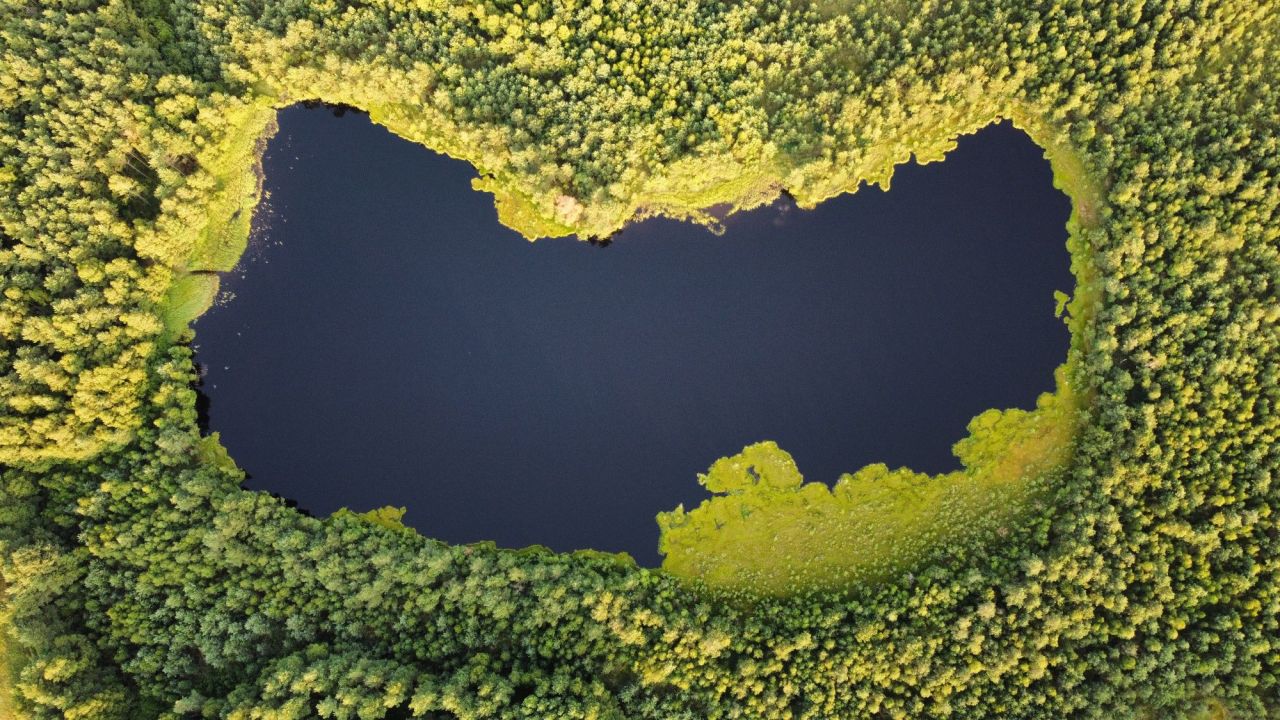 Działka inwestycyjna Lidzbark. Zdjęcie 8