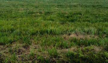 Działka rolno-budowlana Studzianki, ul. Trawiasta