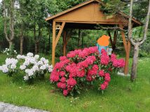 Działka rod Żyrardów Podlas, ul. Wypoczynkowa