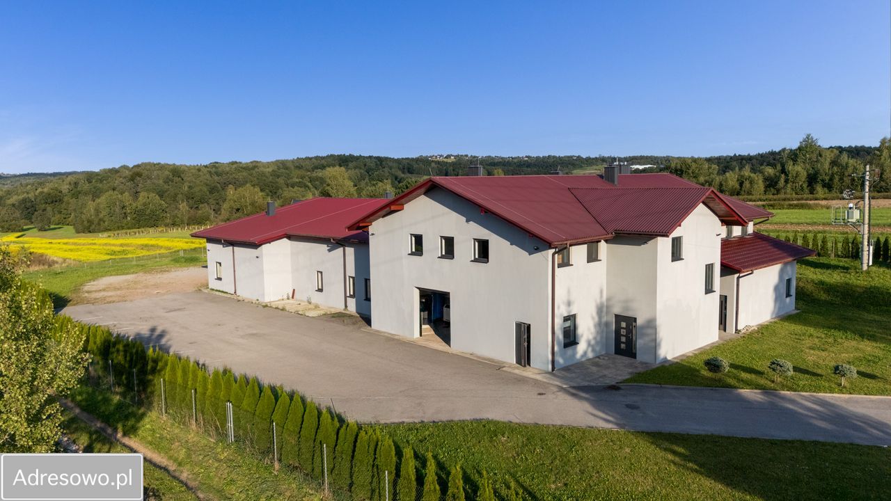 Biuro Polanka. Zdjęcie 18