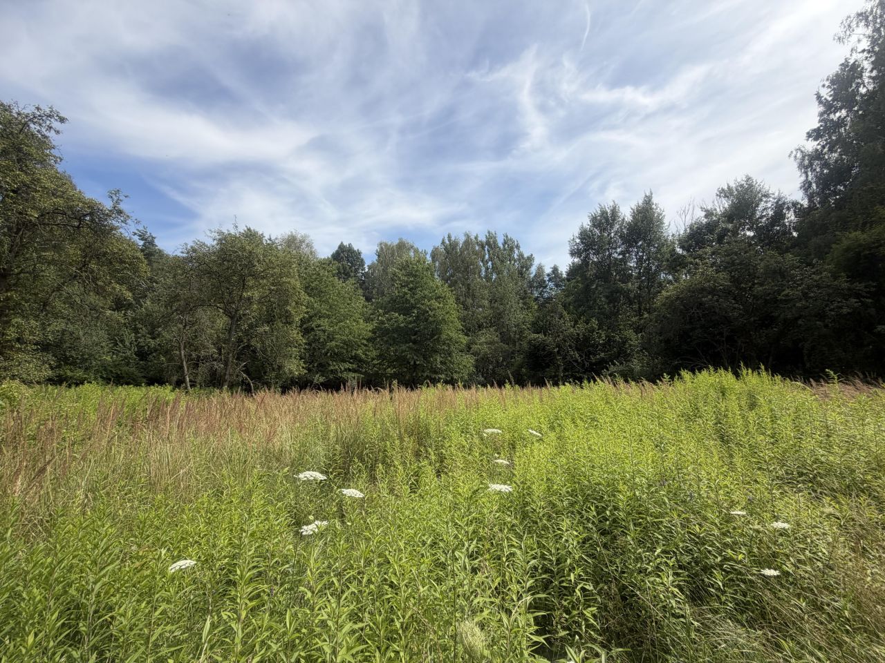 Działka inna Ruda Śląska Kochłowice, ul. Poranna. Zdjęcie 5