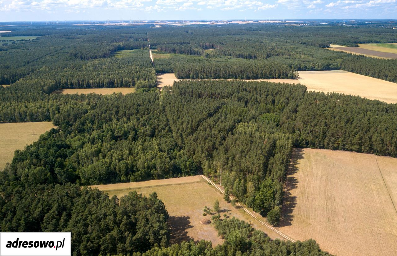 Działka budowlana Białuty. Zdjęcie 6