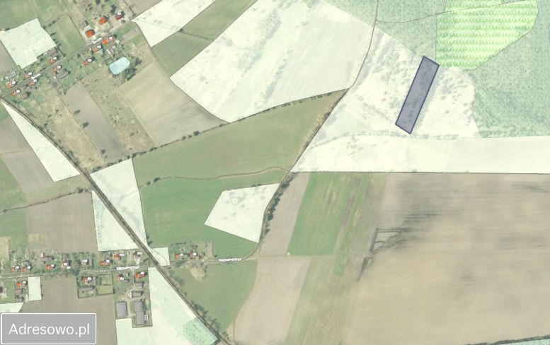 Działka rolna Pokój. Zdjęcie 6