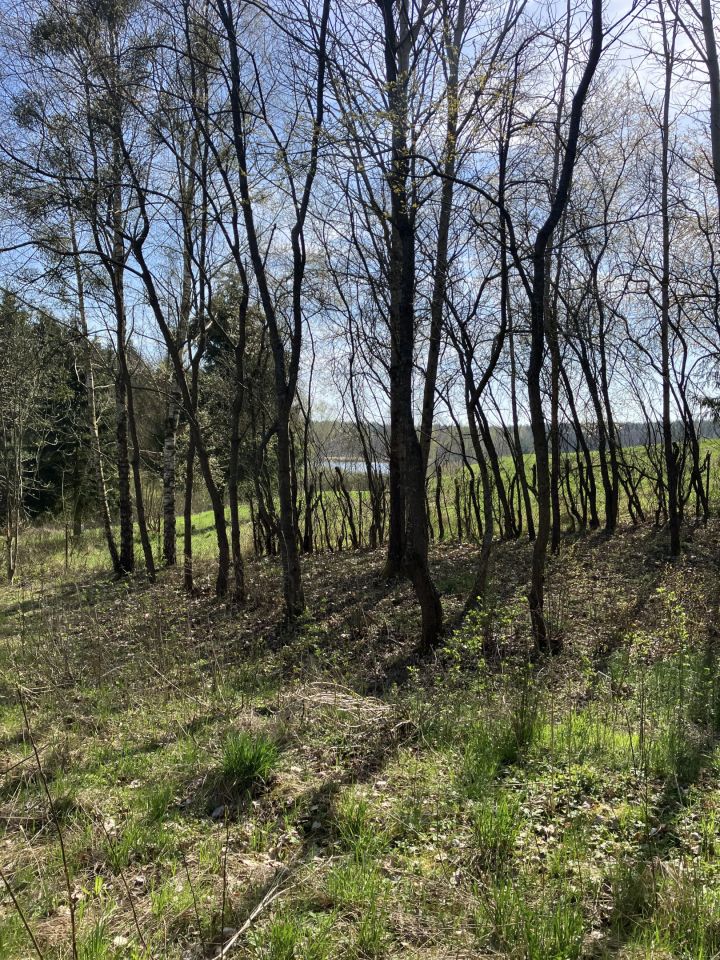 Działka rekreacyjna Jedwabno, ul. Modrzewiowa. Zdjęcie 5