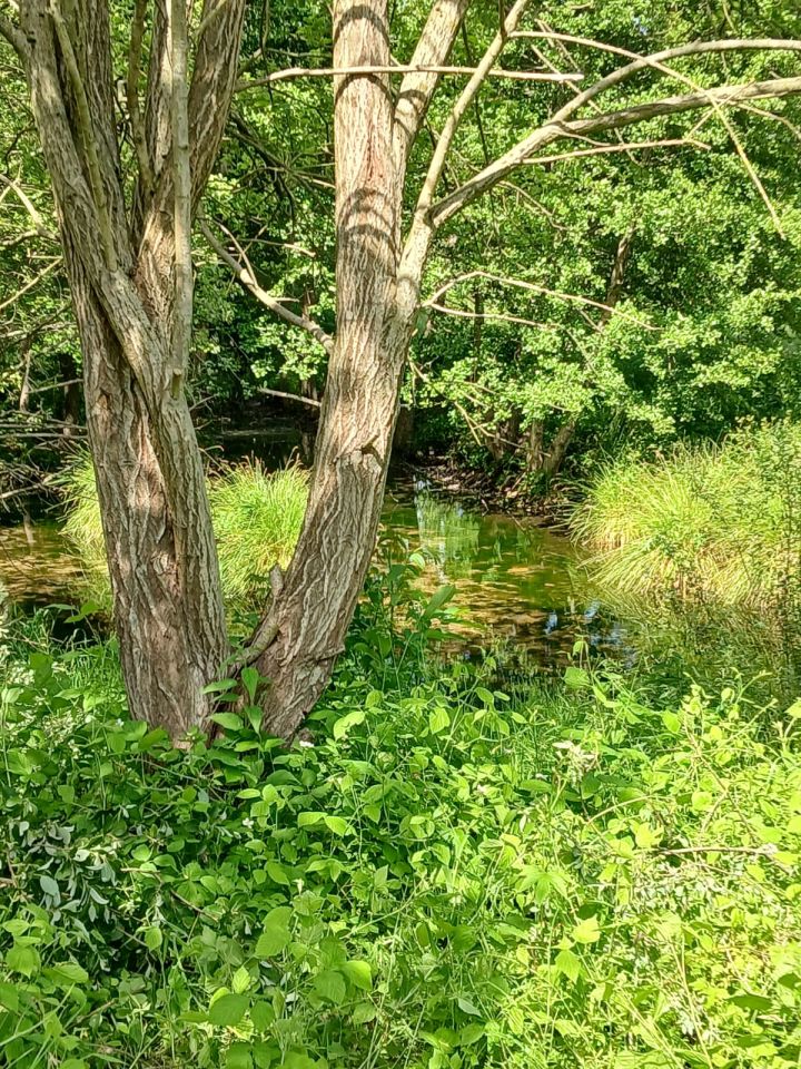 Działka budowlana Rumia Szmelta, ul. św. Józefa. Zdjęcie 2