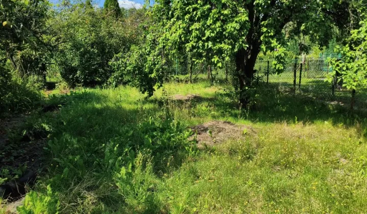 Działka rod Jawor, ul. Piastowska